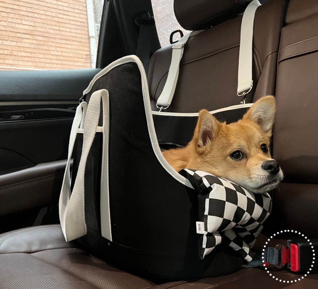 IMG_1422-1726461697290