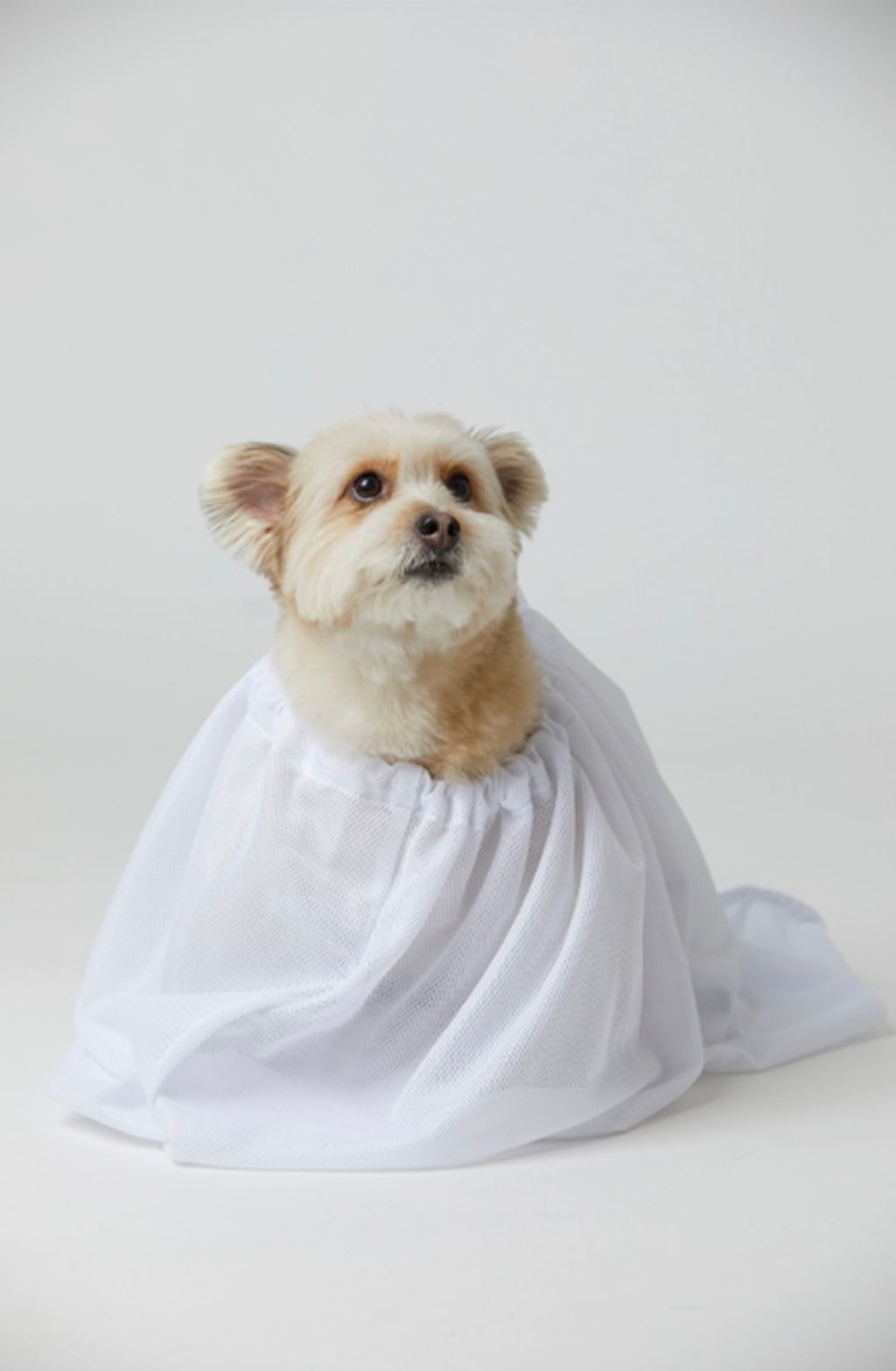 IMG_1425-1726462124473