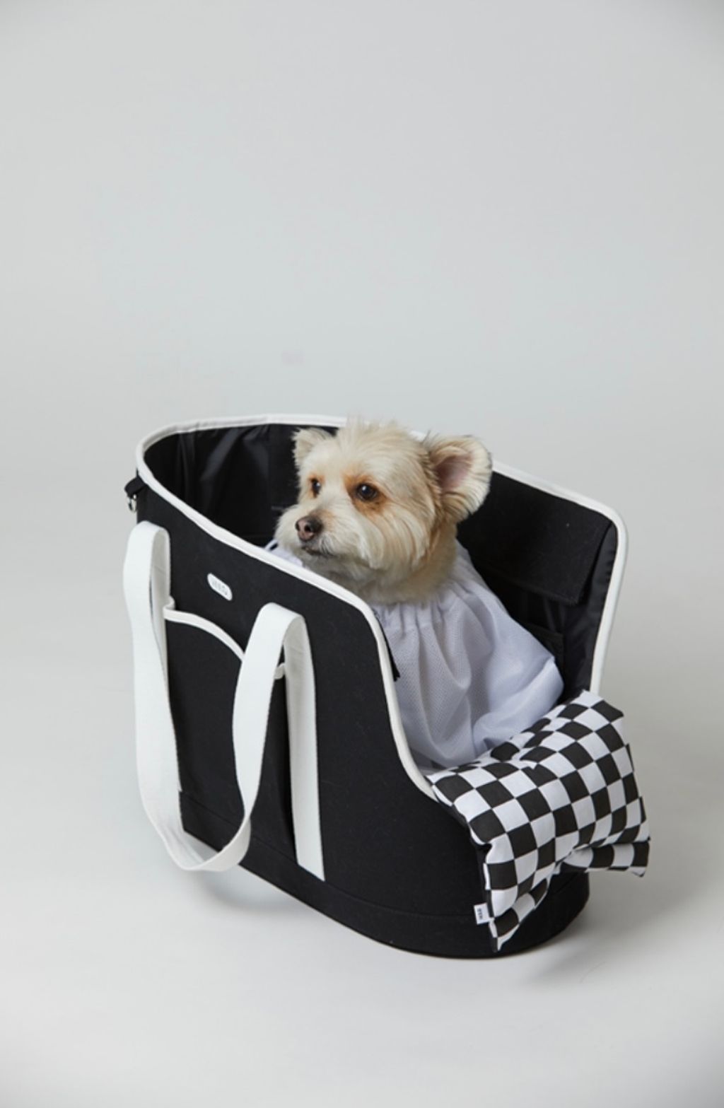 IMG_1426-1726462124476