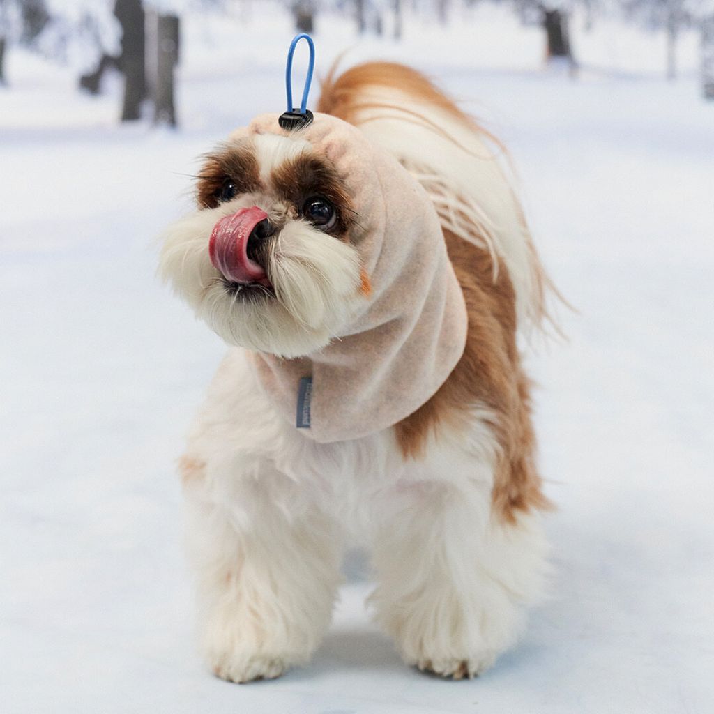 56f7a839e23a3b9488eaa86a1f9c2e3f