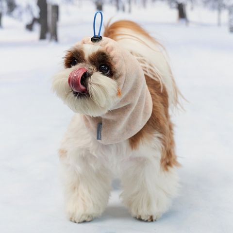 56f7a839e23a3b9488eaa86a1f9c2e3f