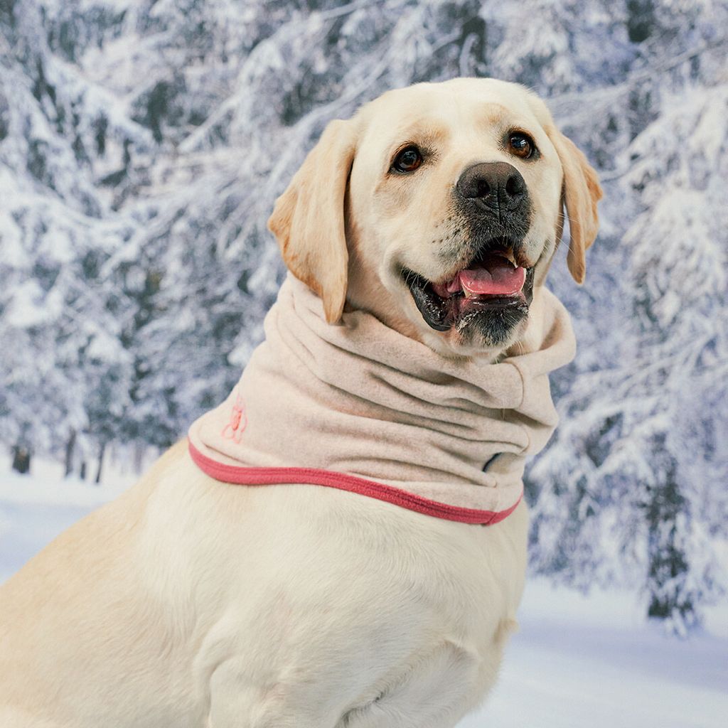 f3b66957e4dadf4e4a18efddb1e97e79