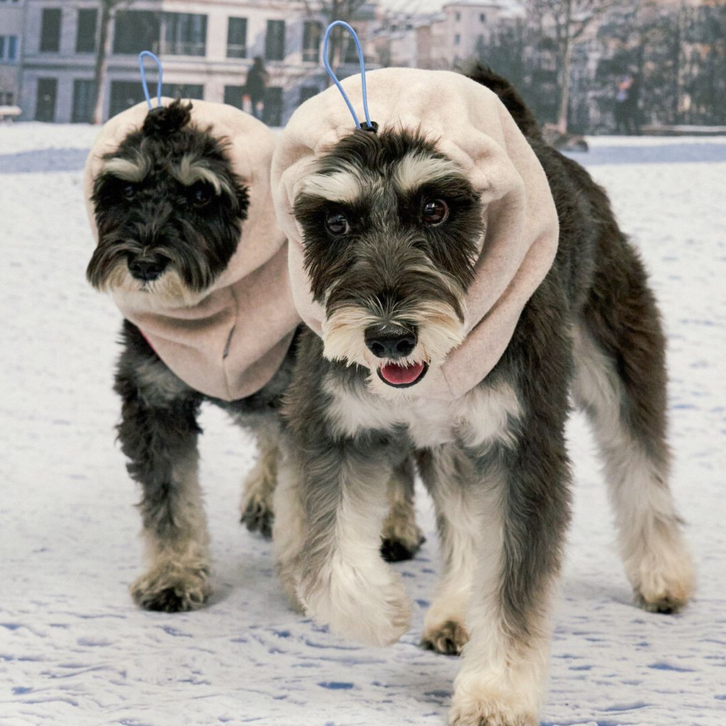 e96e3474b67ba0e61ce0d3c6569af032