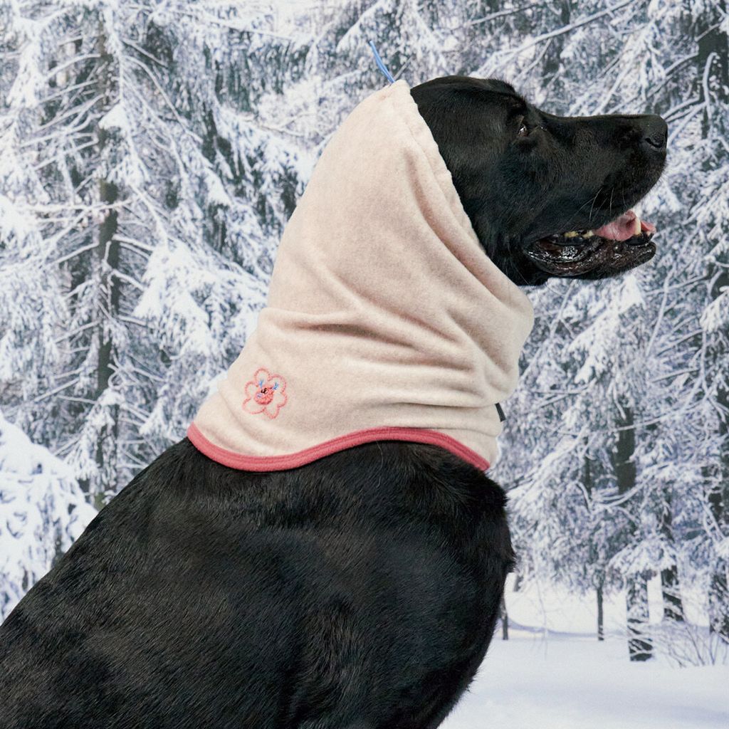 026b5498a874abd2bc250ae92e7a8465