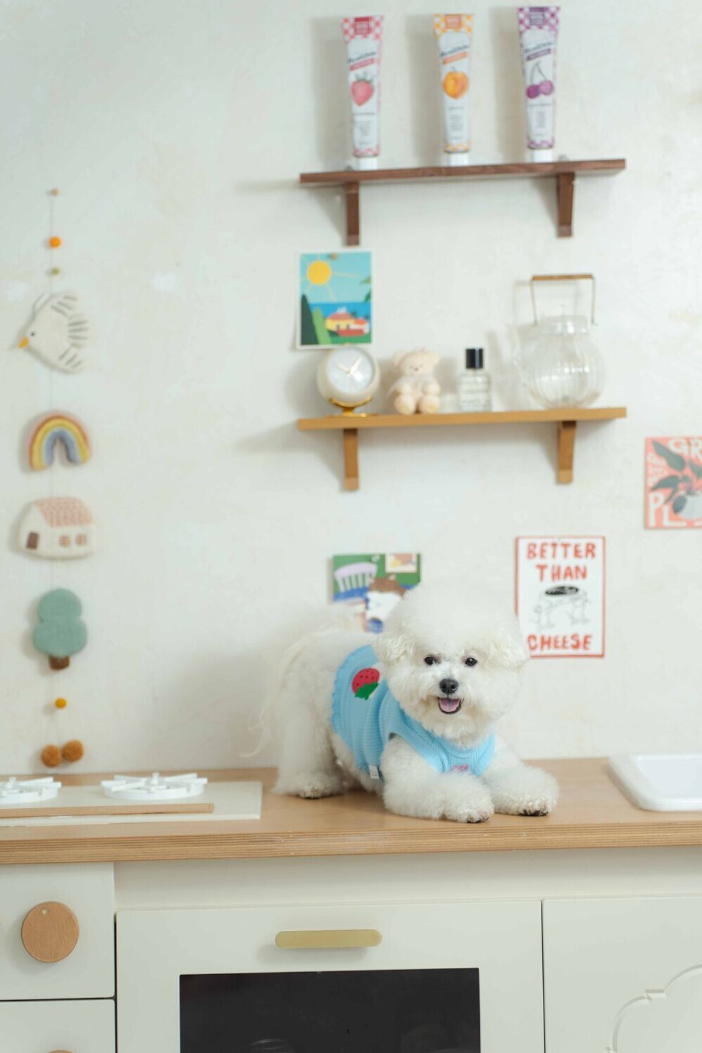 image_1740912859826_1000