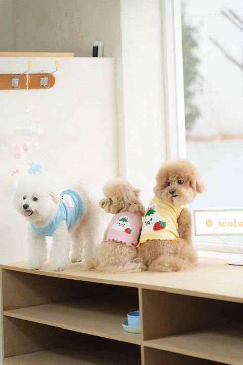 image_1740912351413_1000