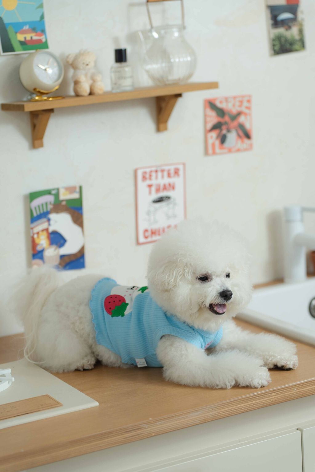 image_1740912887208_2500