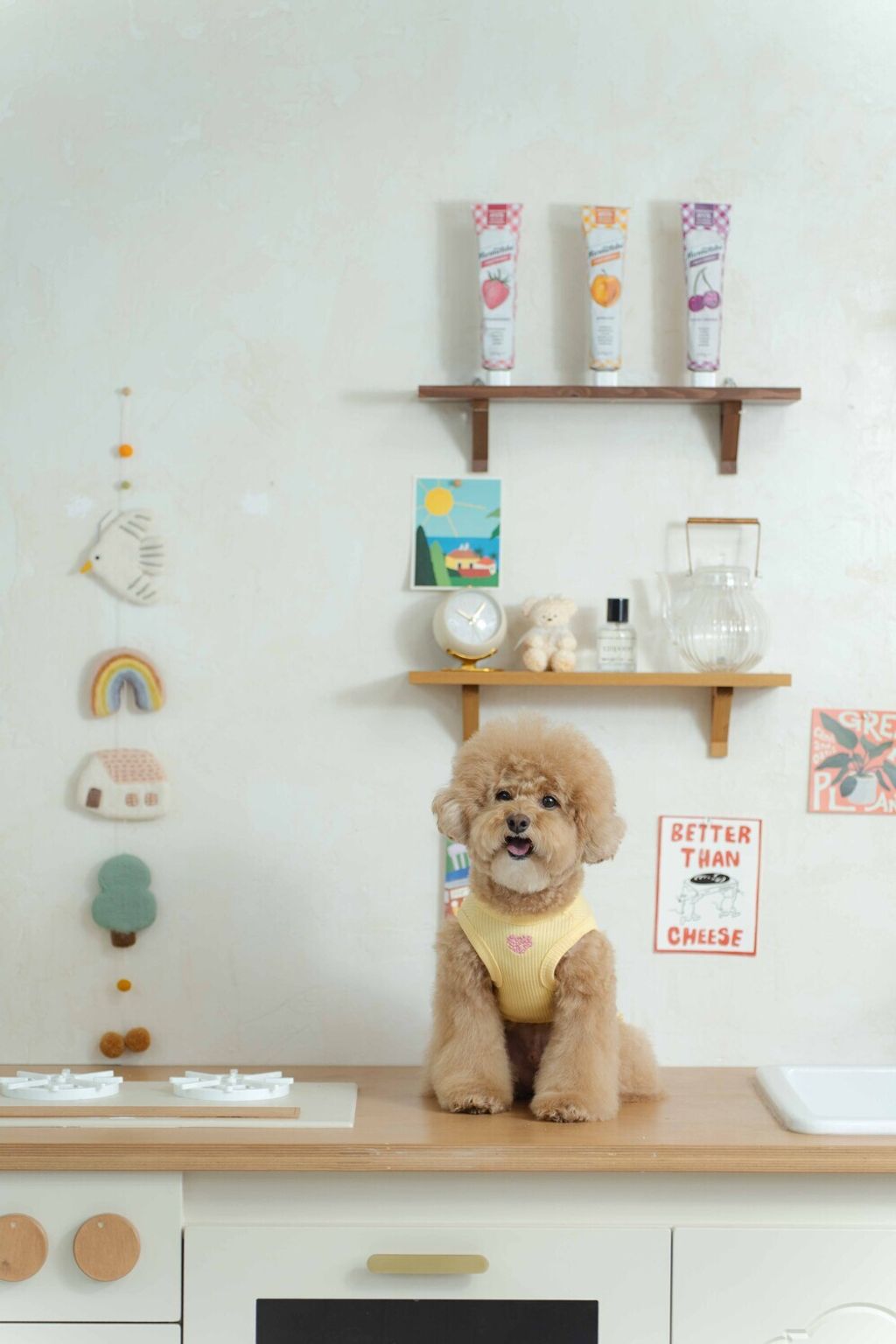 image_1740913059724_1000