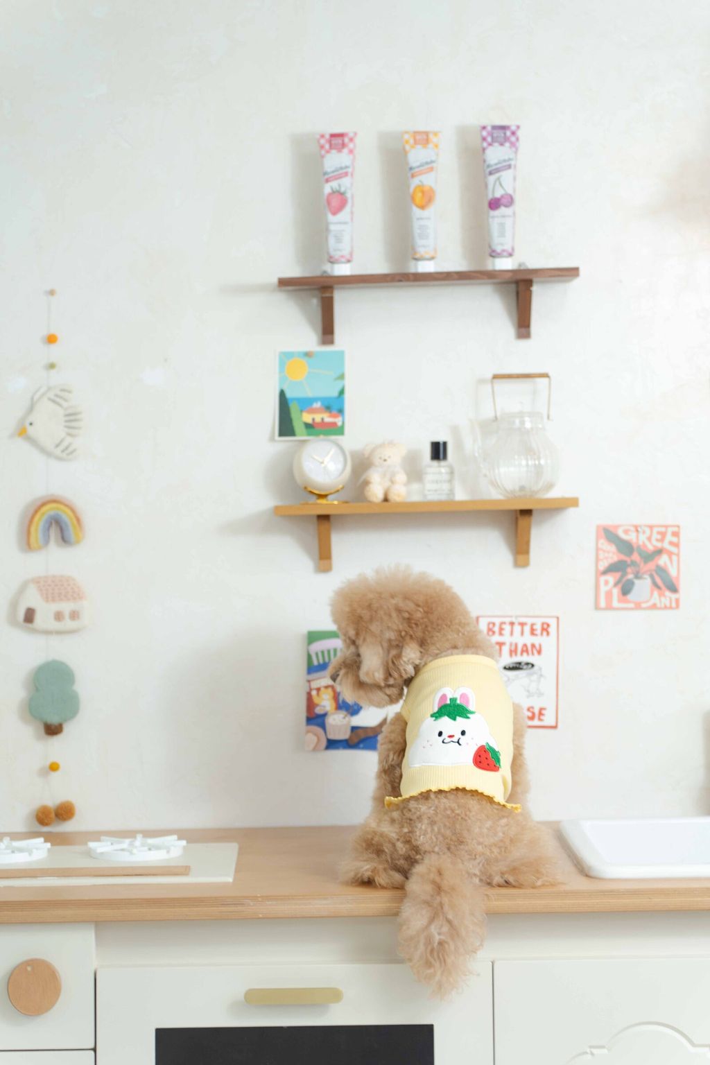 image_1740913064370_2500