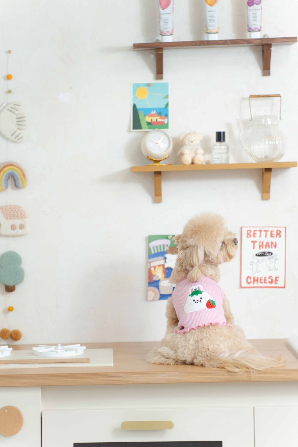 image_1740914298562_2500