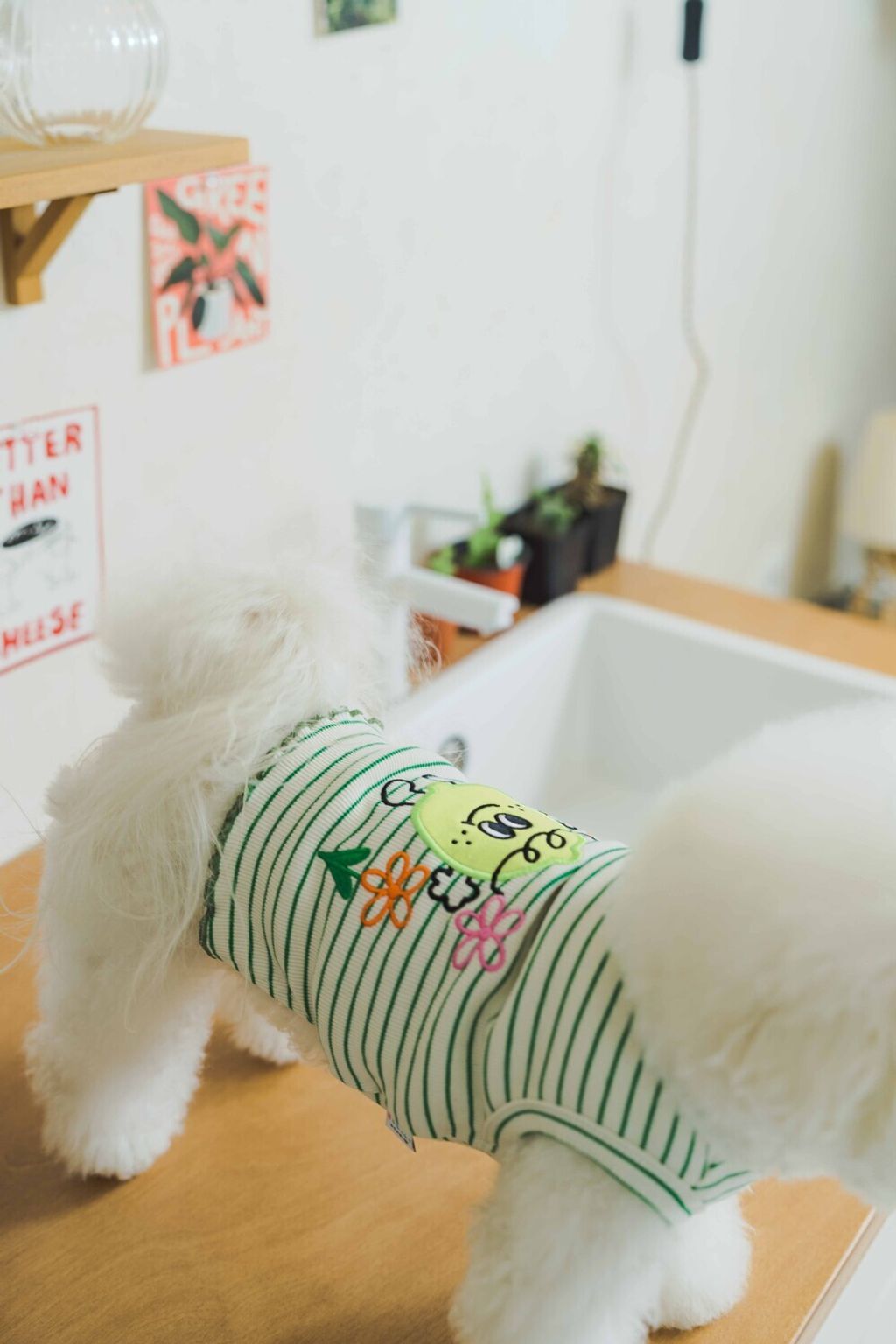 image_1741690082738_1000