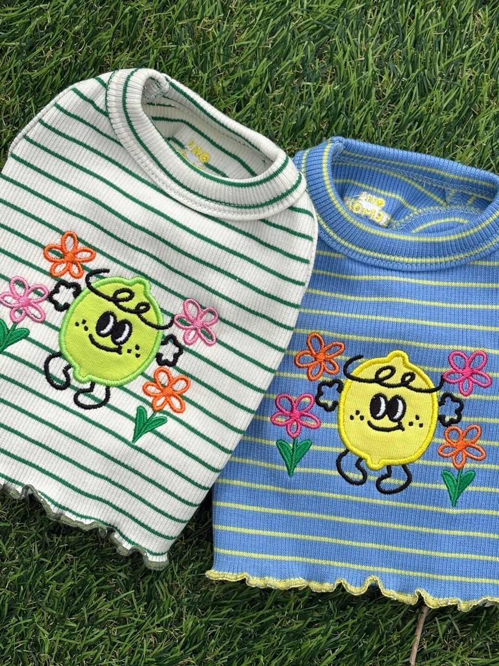 image_1741689948255_2500