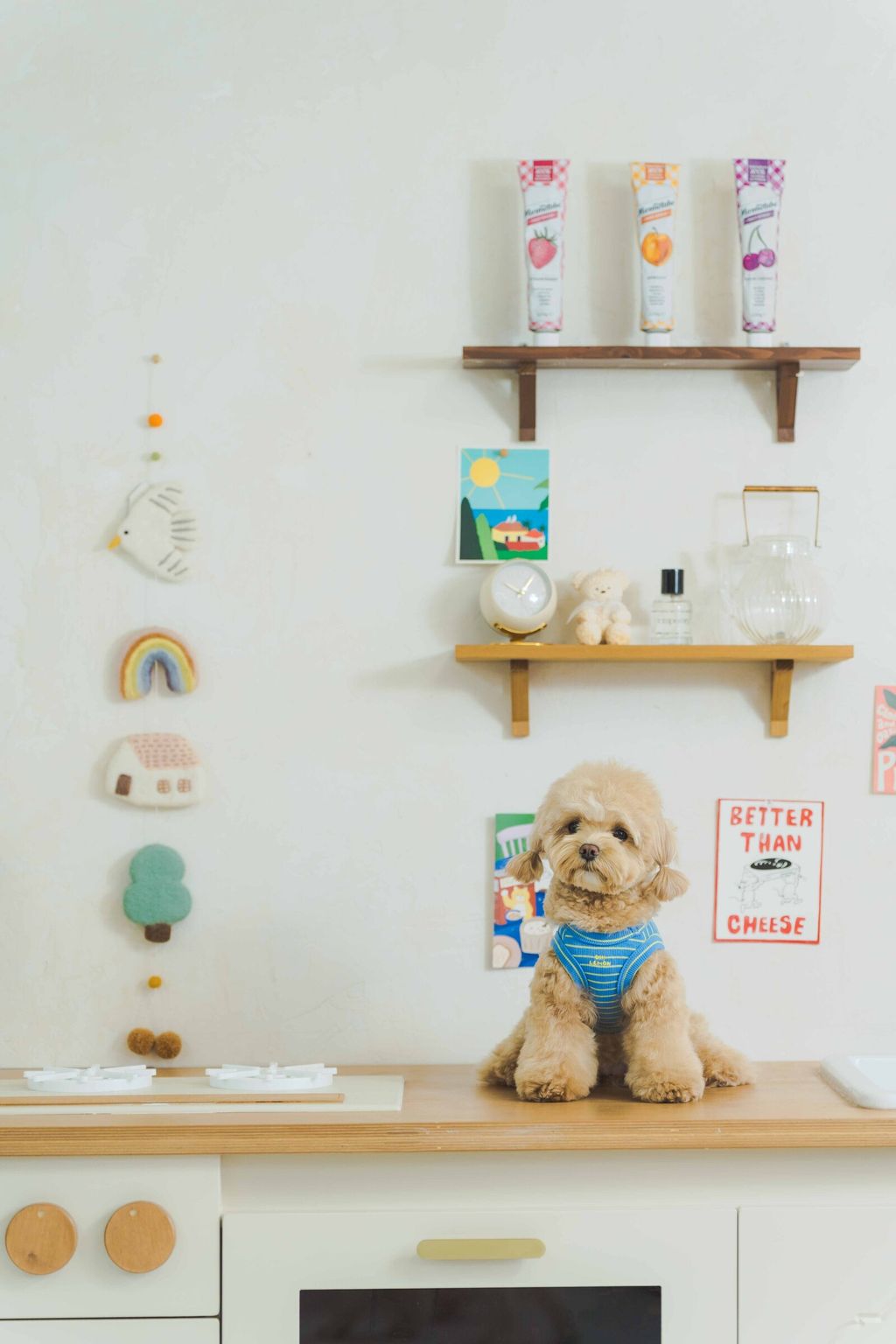 image_1741689967081_2500