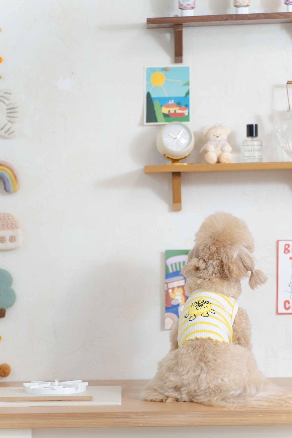 image_1741690327432_2500