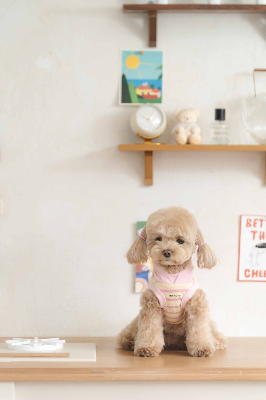 image_1743768355003_1000