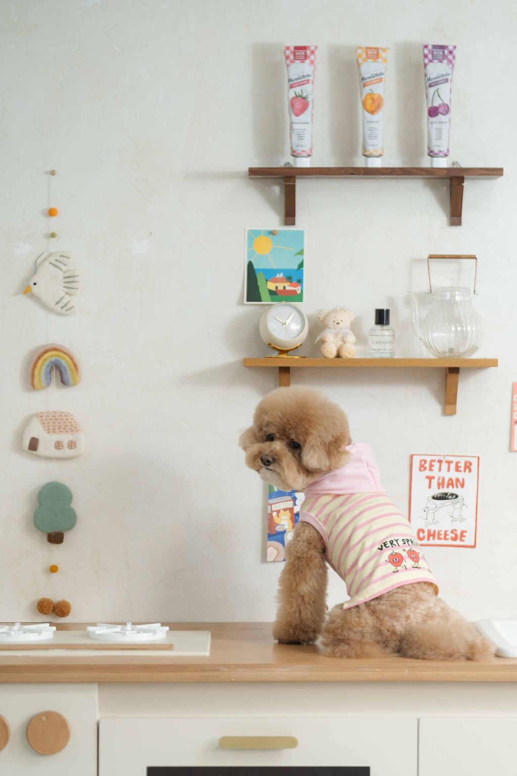 image_1743768347768_2500