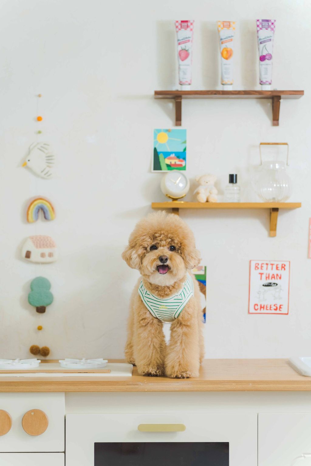 image_1741690056522_2500