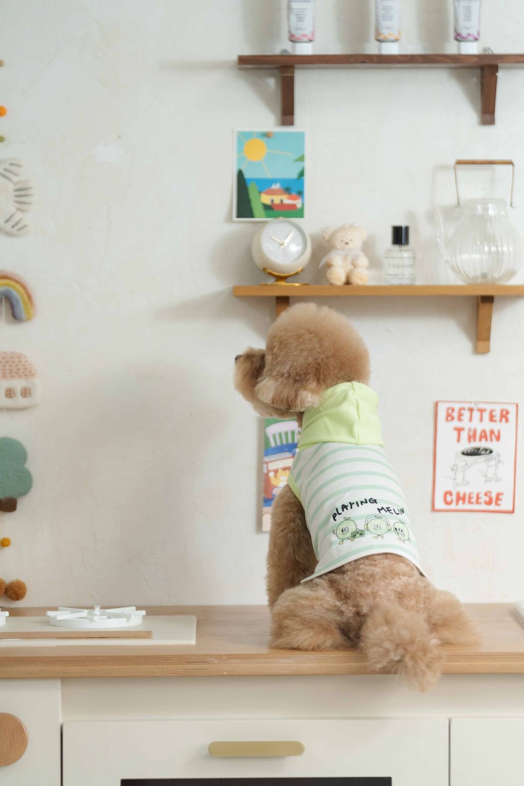 image_1743768481033_2500