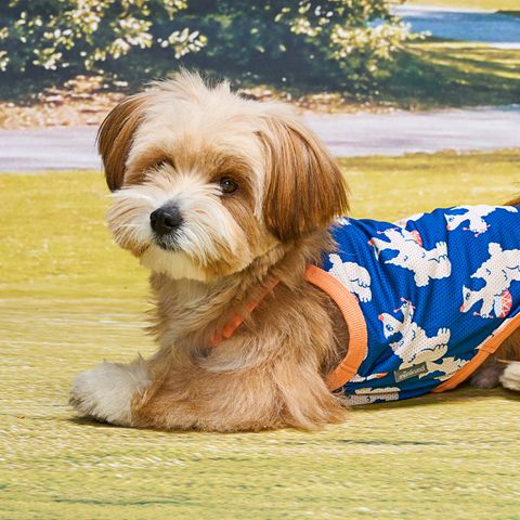 11562ba8d833312c29bba7ee63b47b94