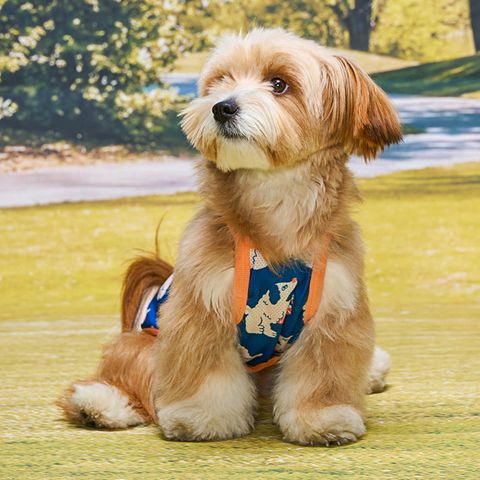 c8f9877b25a361a899236c65acc26f81