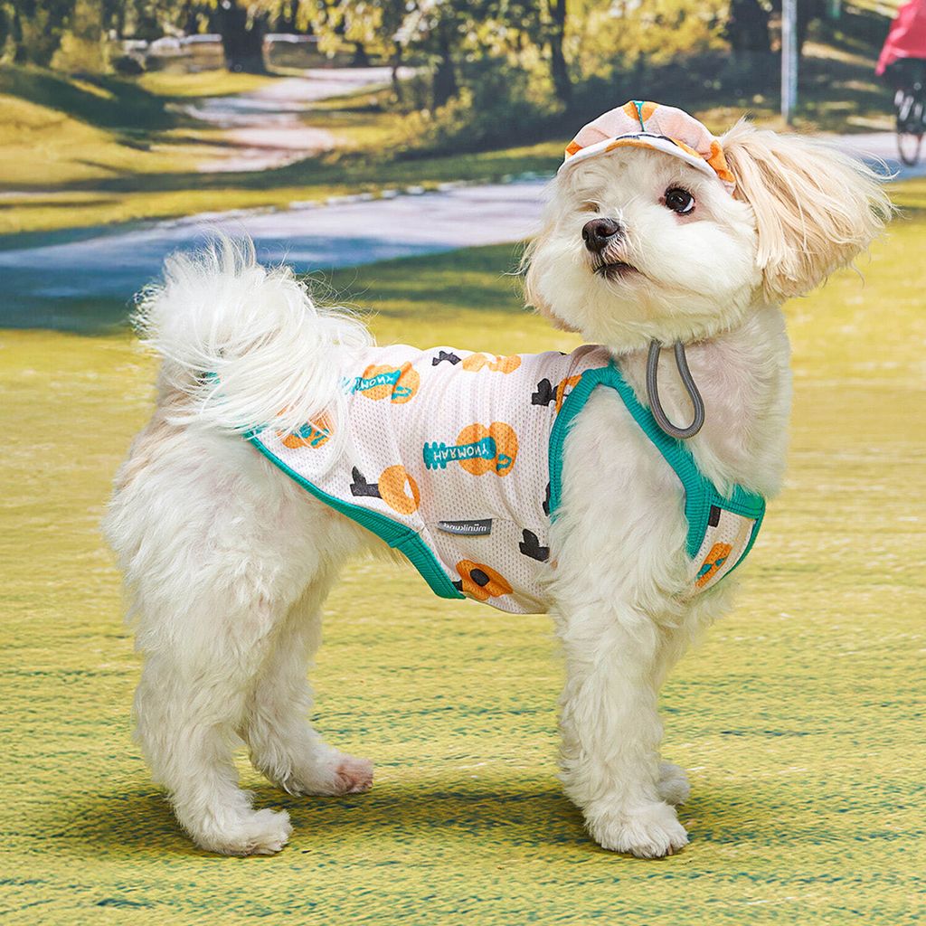 13315f24a0f62de762504f608b04f000