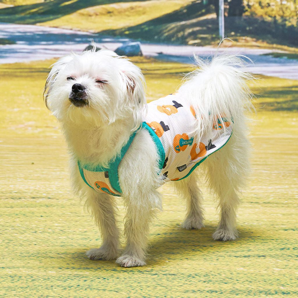 43115410900e296df24f40e8d299ce21