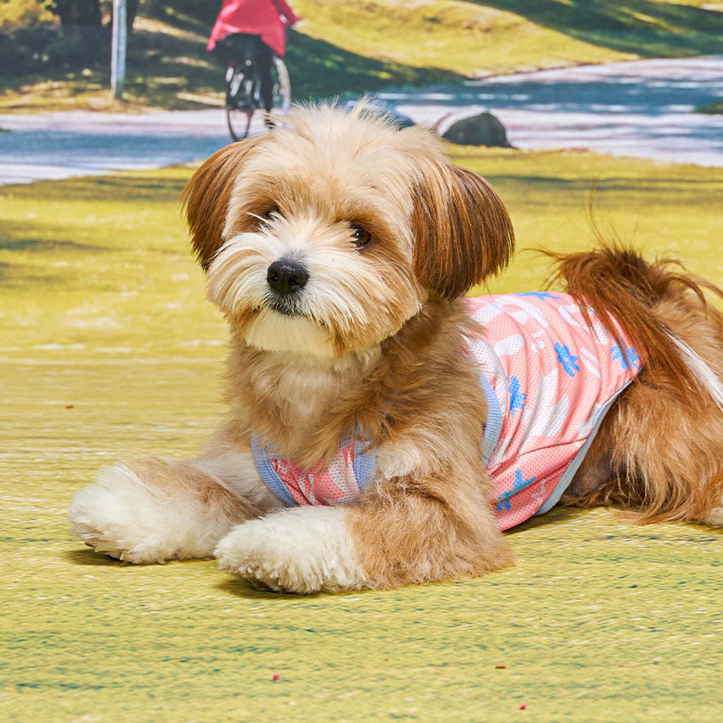 fb0b5fed3d391401b7594f6ceadb671b