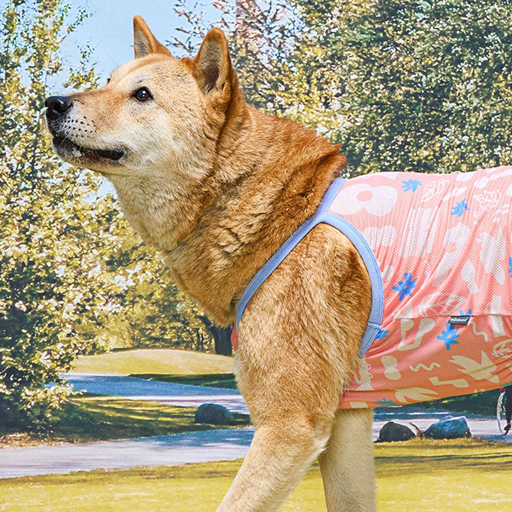 4c4312697f8d9c08138323affc20b89a