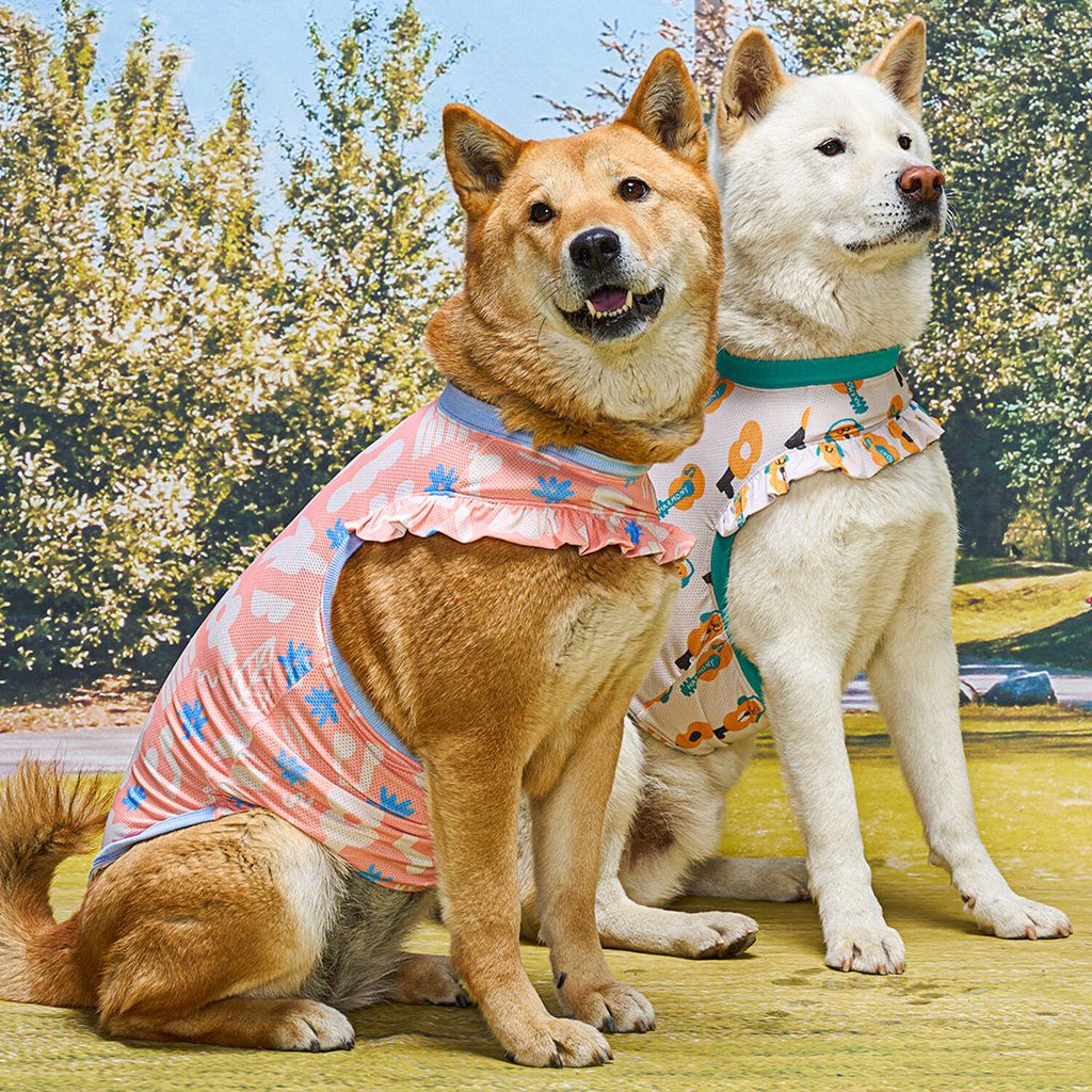 34c09f911756d0bca994f6dc10c2ffcd