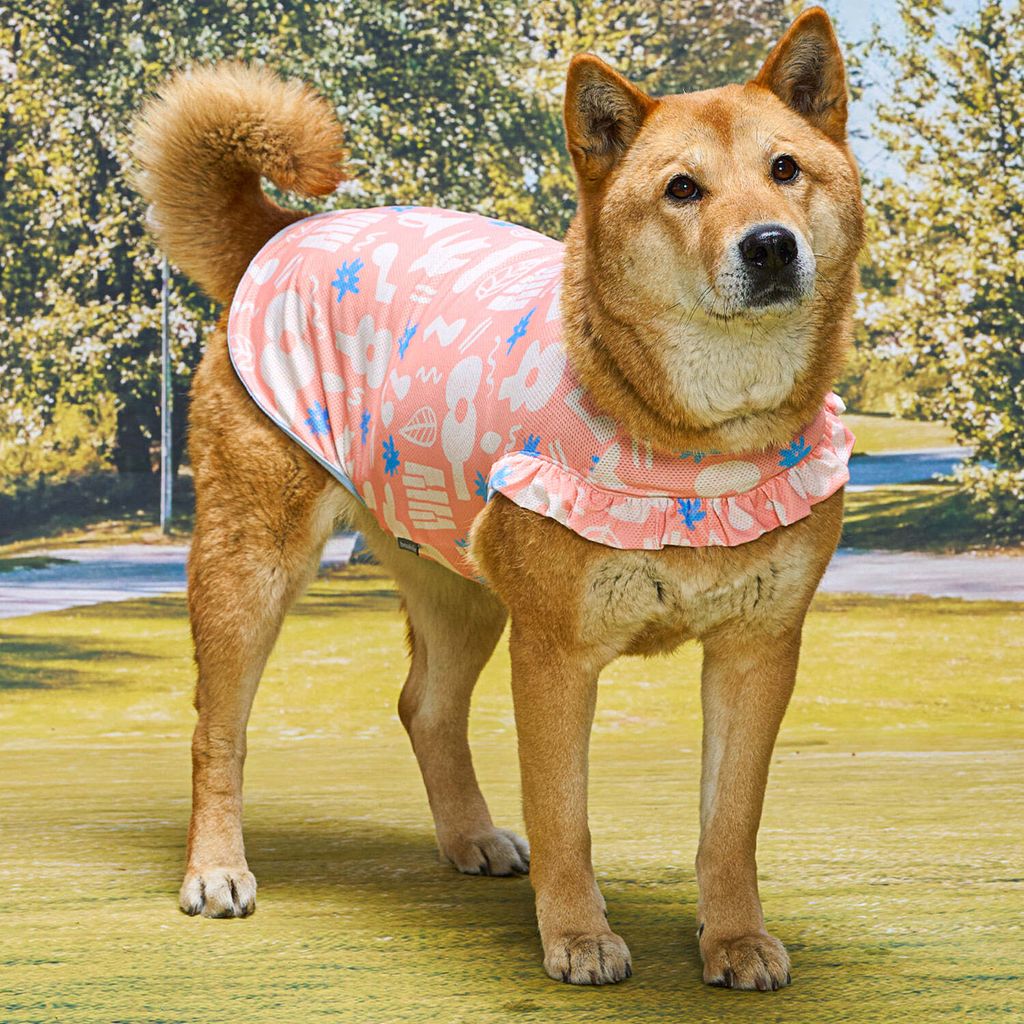 777712933264cf9c97c9ad16d14bb85b