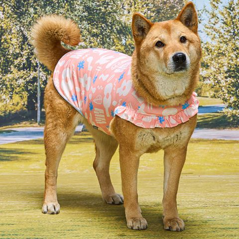 777712933264cf9c97c9ad16d14bb85b