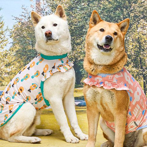 436abf19b1e577ee9e56917e7aa5f2ef