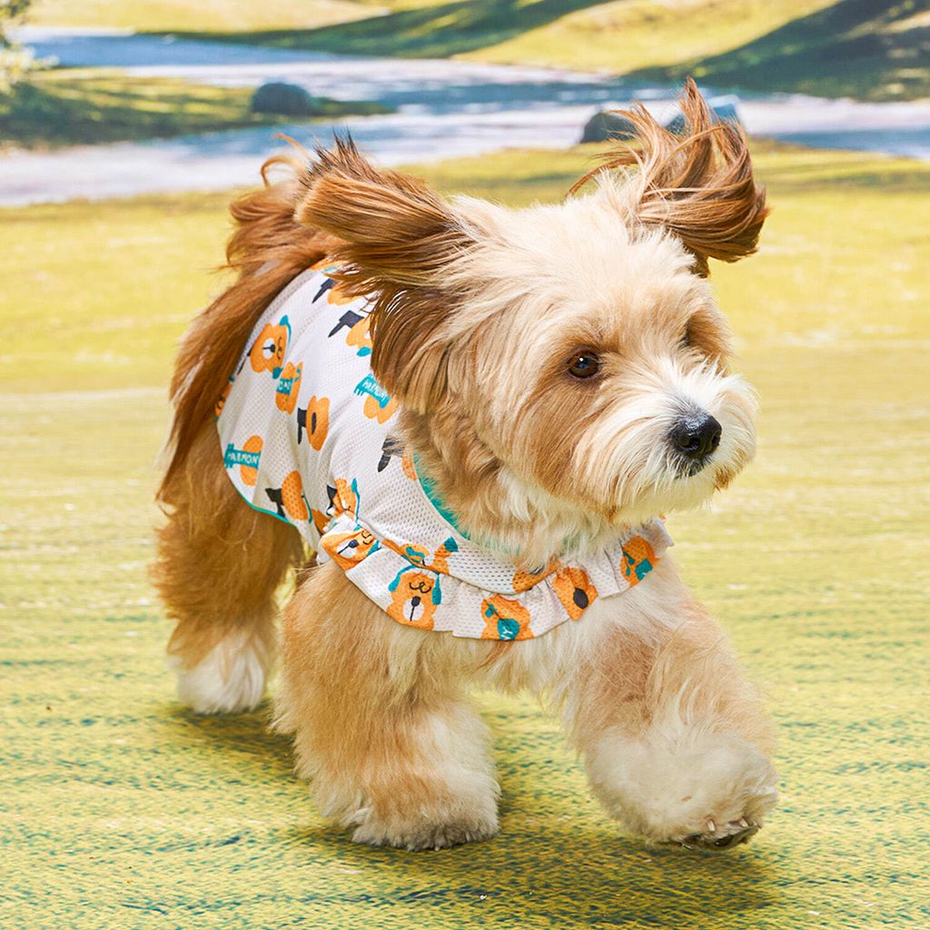 54f2898b11ef5b1acb9da514c7e421bd