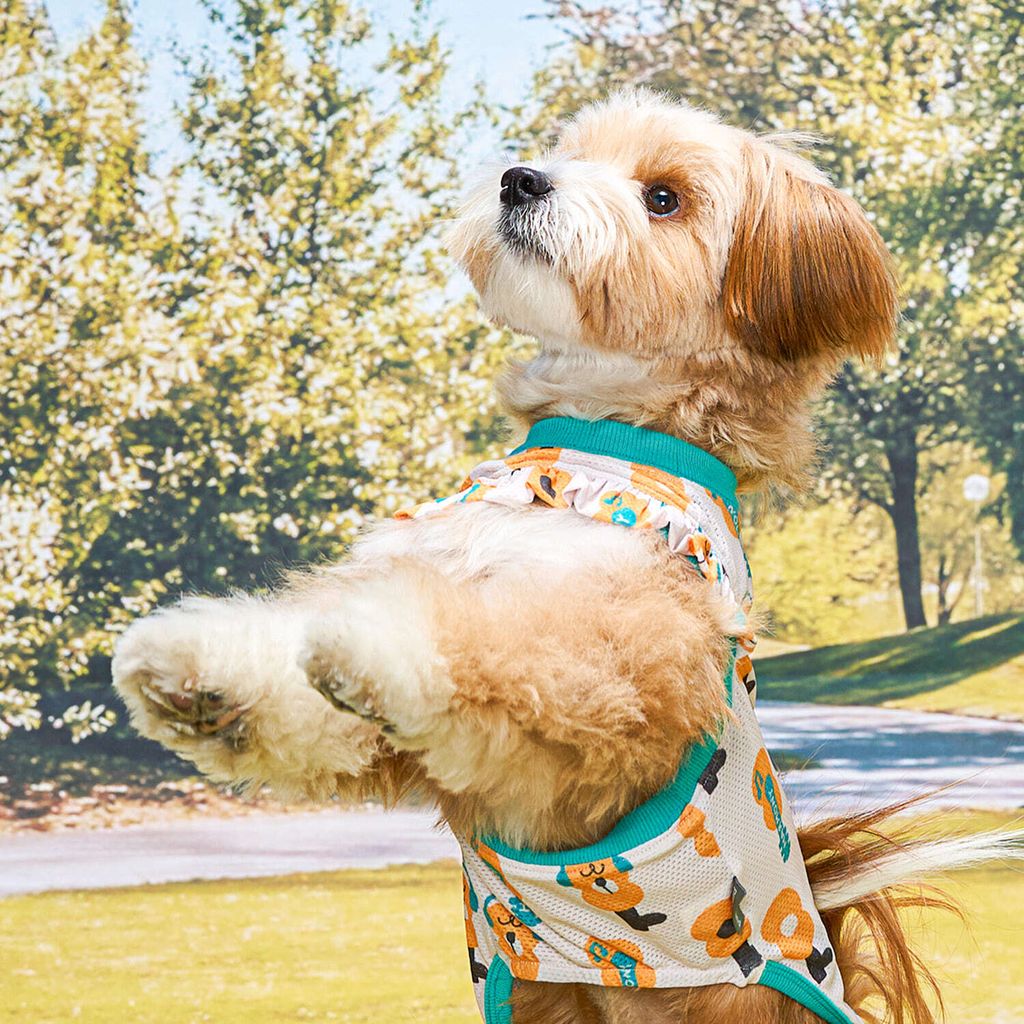 96342eca4d3d3321c6948c84748d7999