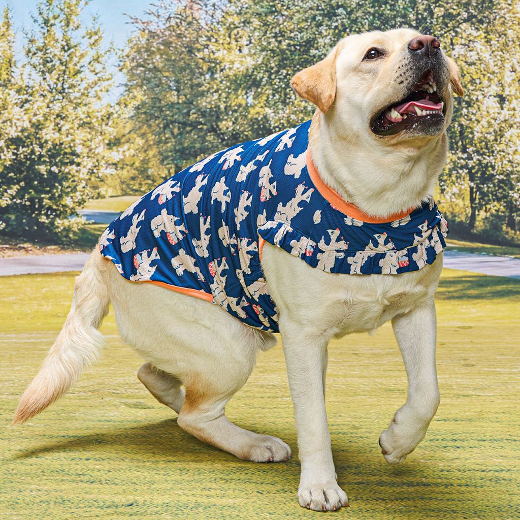 8f5f38cf9fa739ebcd37496c82f7e3fb