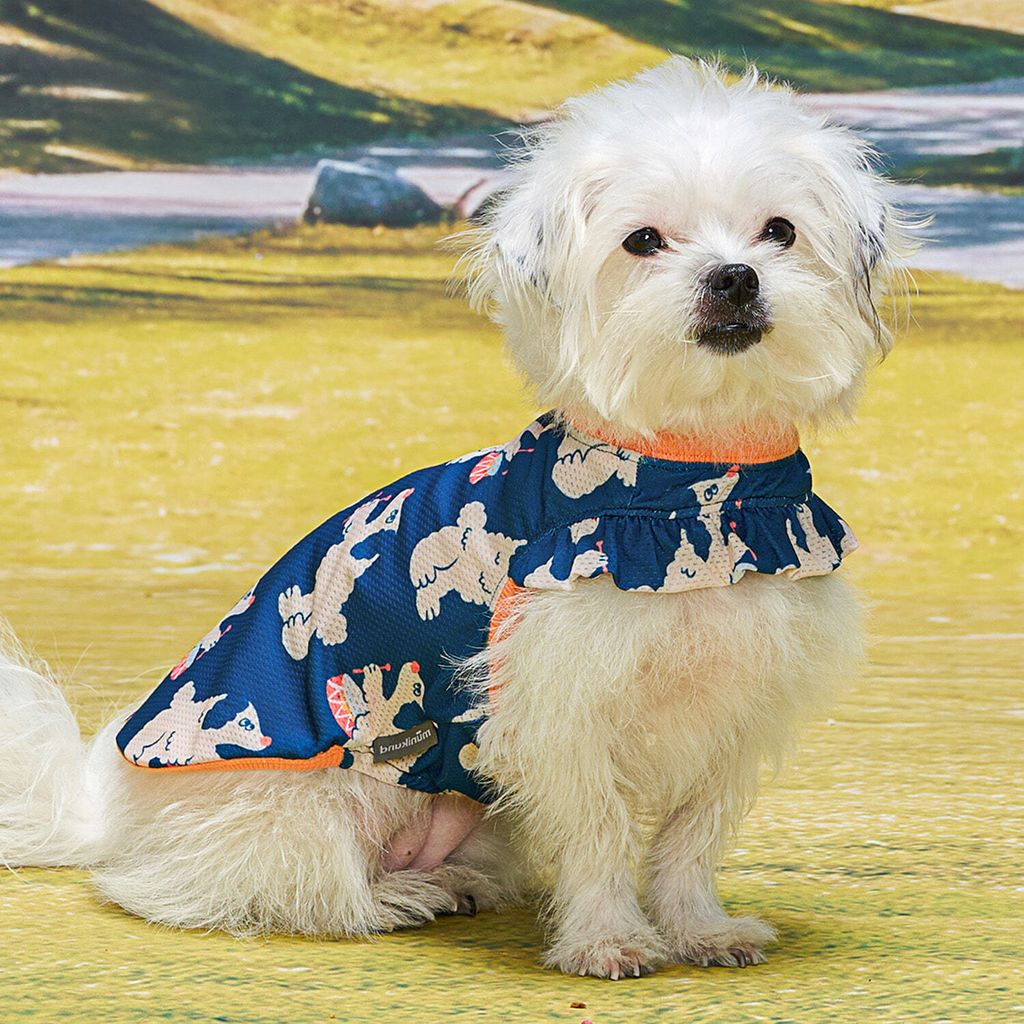 cf0864440d65d0d19a938a34b51fce14