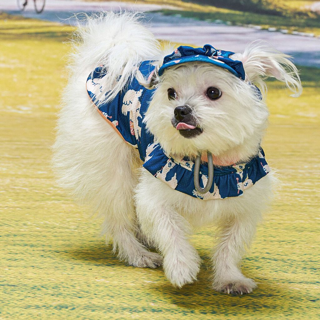 574011332f5a3643ca1c145083012553