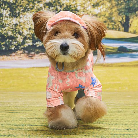 1e09c3d8f83044b5b87bf5c093158354