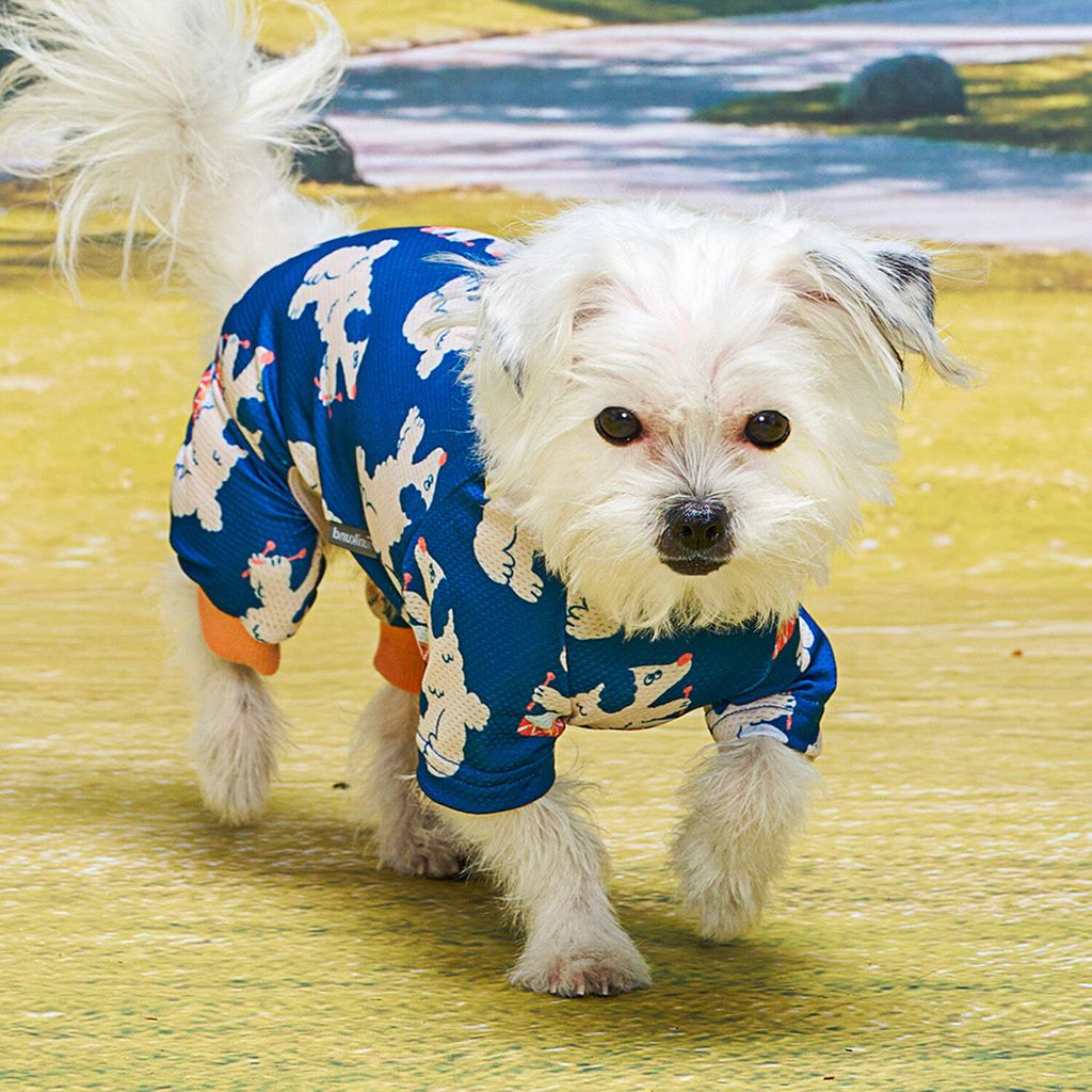 f2aa0118cf8290143f29e3cc424c8429