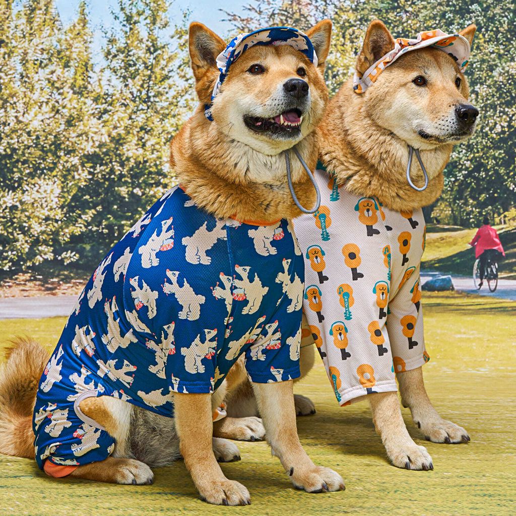 347fd6eb3fdacceaab0e7943eead9be0