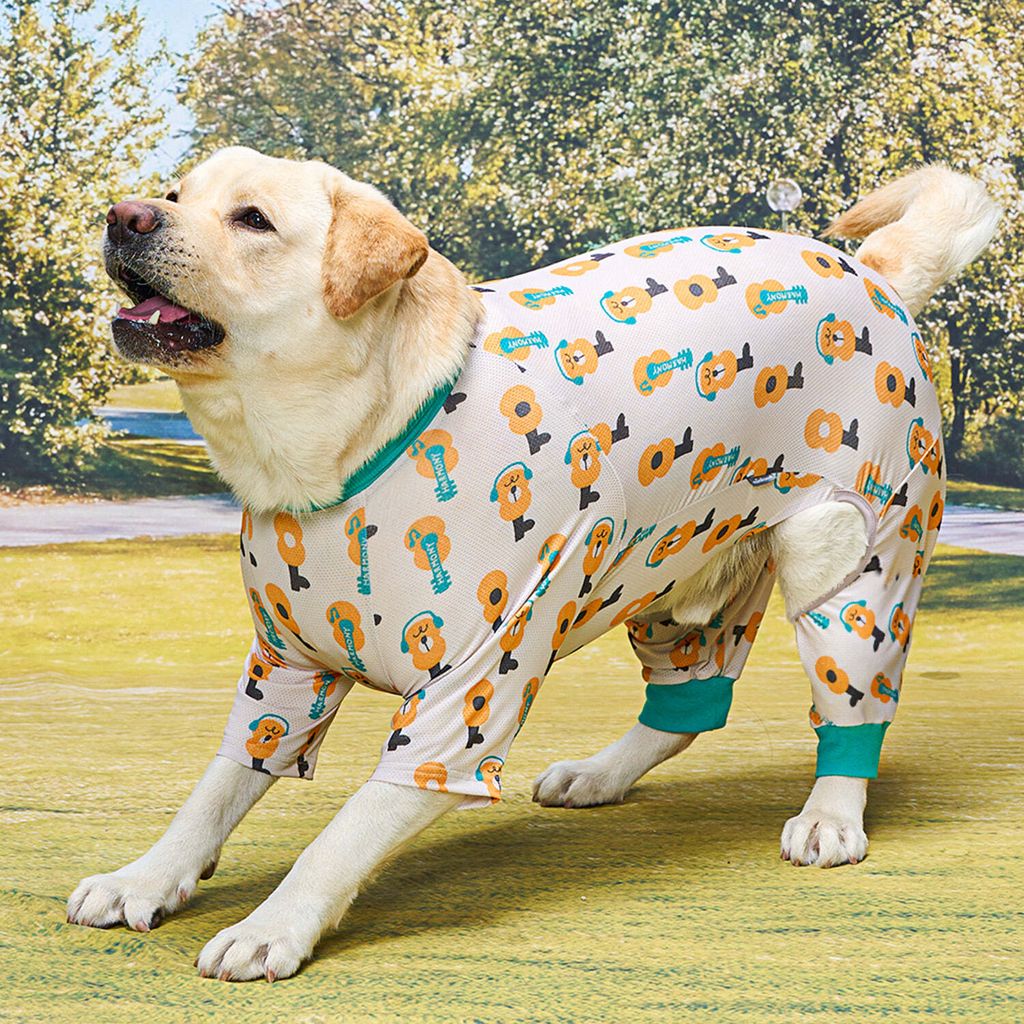 aa44fb15419033aad1702f8197c1d0d9