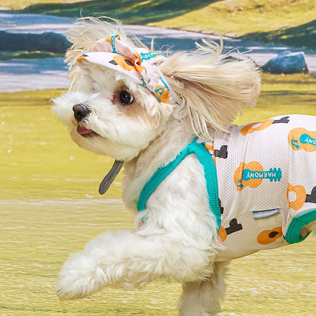 5e212c41a54b488eaf1595a46998dbb7