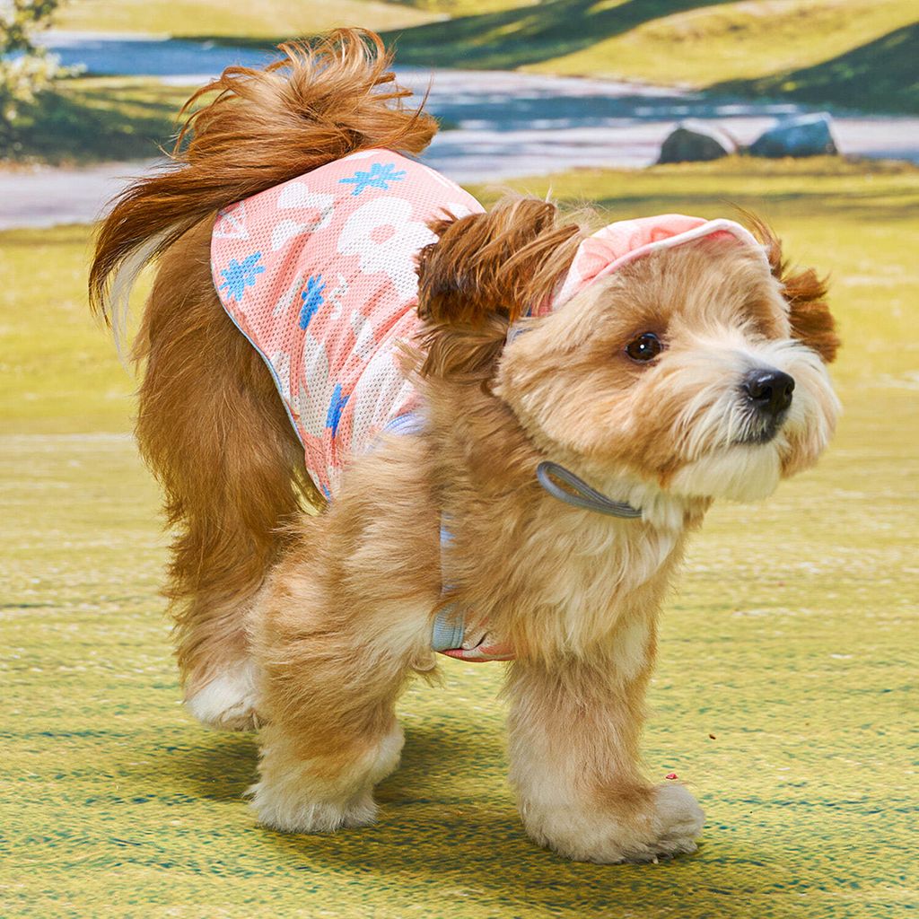 e68a7a2f6808a2f22d2b2bd8924c83ae