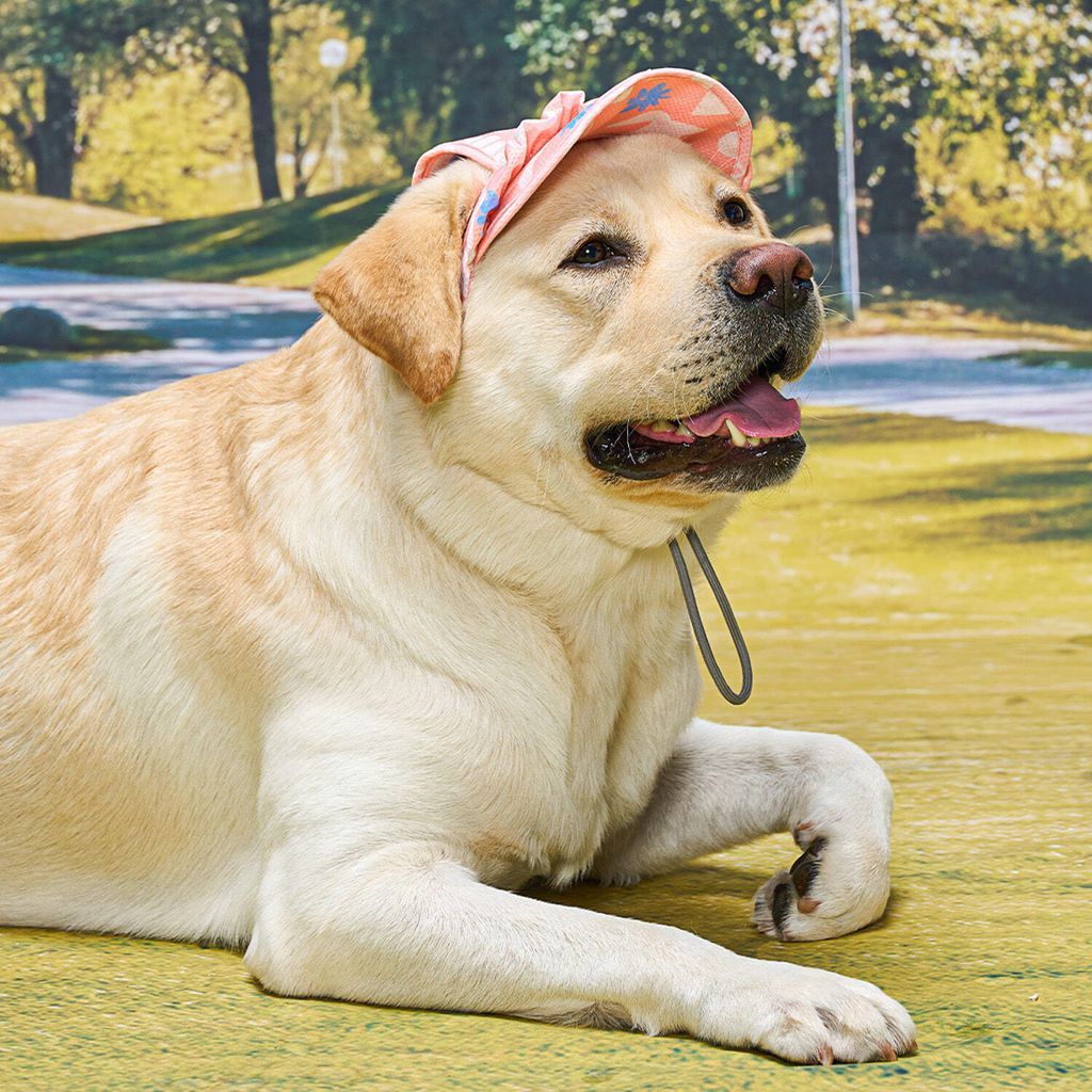 a101fa7b165f2234cf22e144e300a57a