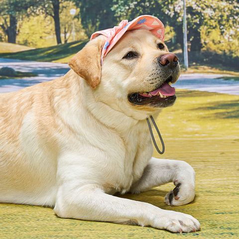 a101fa7b165f2234cf22e144e300a57a