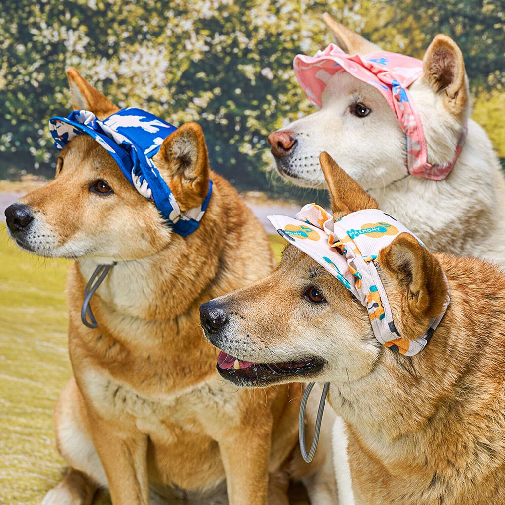 baead889515d0e9d5c301dec7b102653