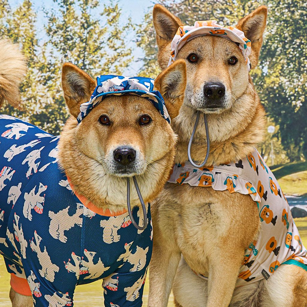 c15d577ad56b6f3a8e26655ef5ae689c