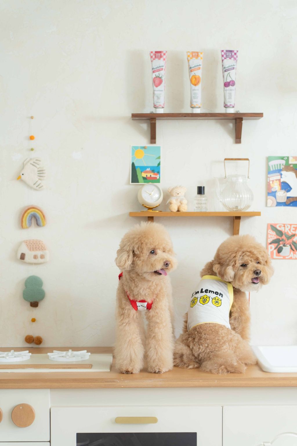 image_1747998310473_2500