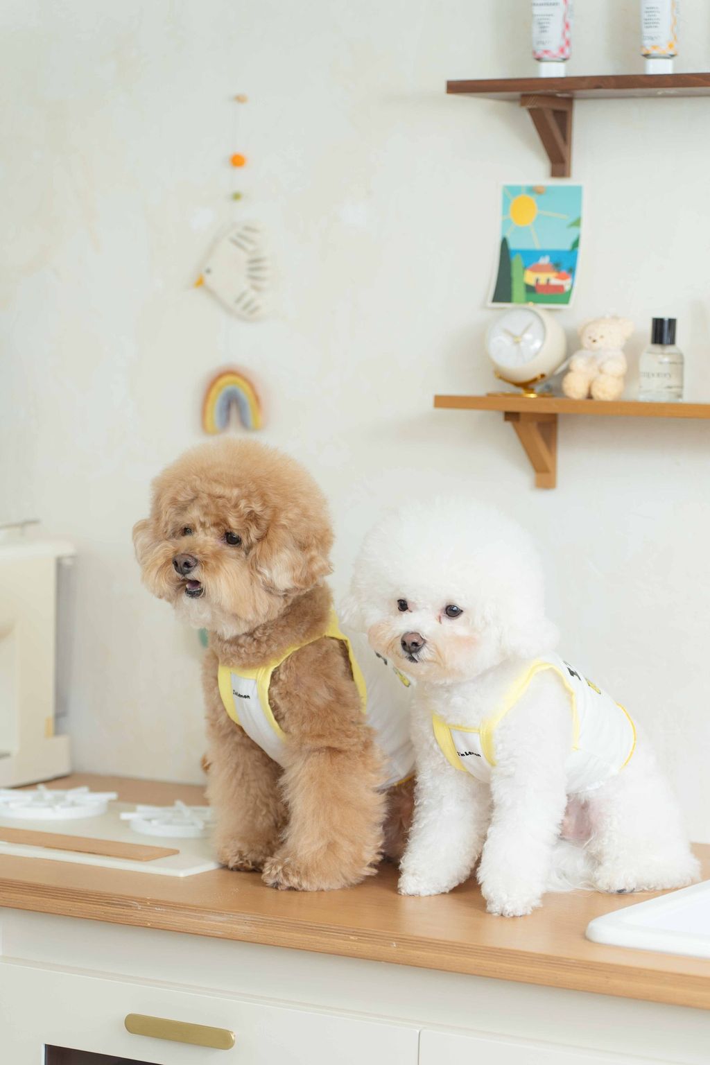 image_1747998286126_2500