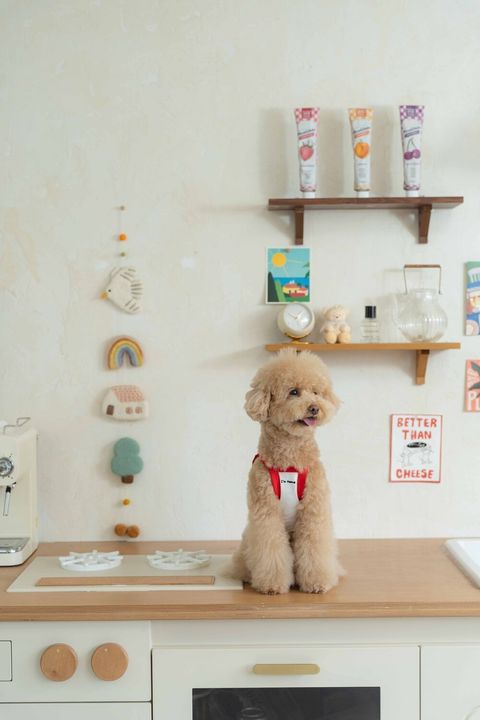 image_1747997865294_1000